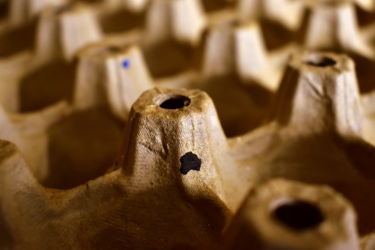 5 Eco-Friendly Packaging Tips